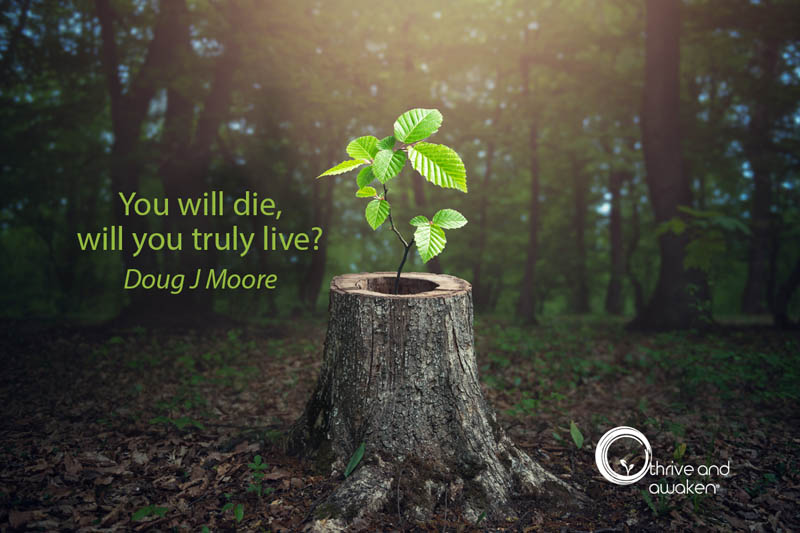 A plant emerging out of a stump image with quote from Doug: You will die, will you truly live?